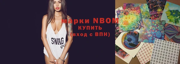 прущий лед Богданович