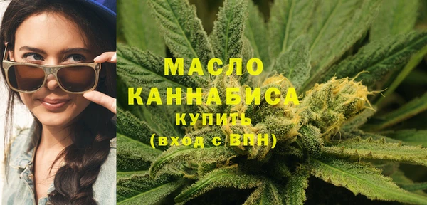 прущий лед Богданович