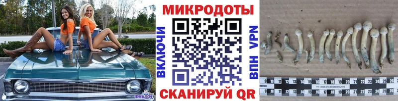 Галлюциногенные грибы Magic Shrooms  Хабаровск 